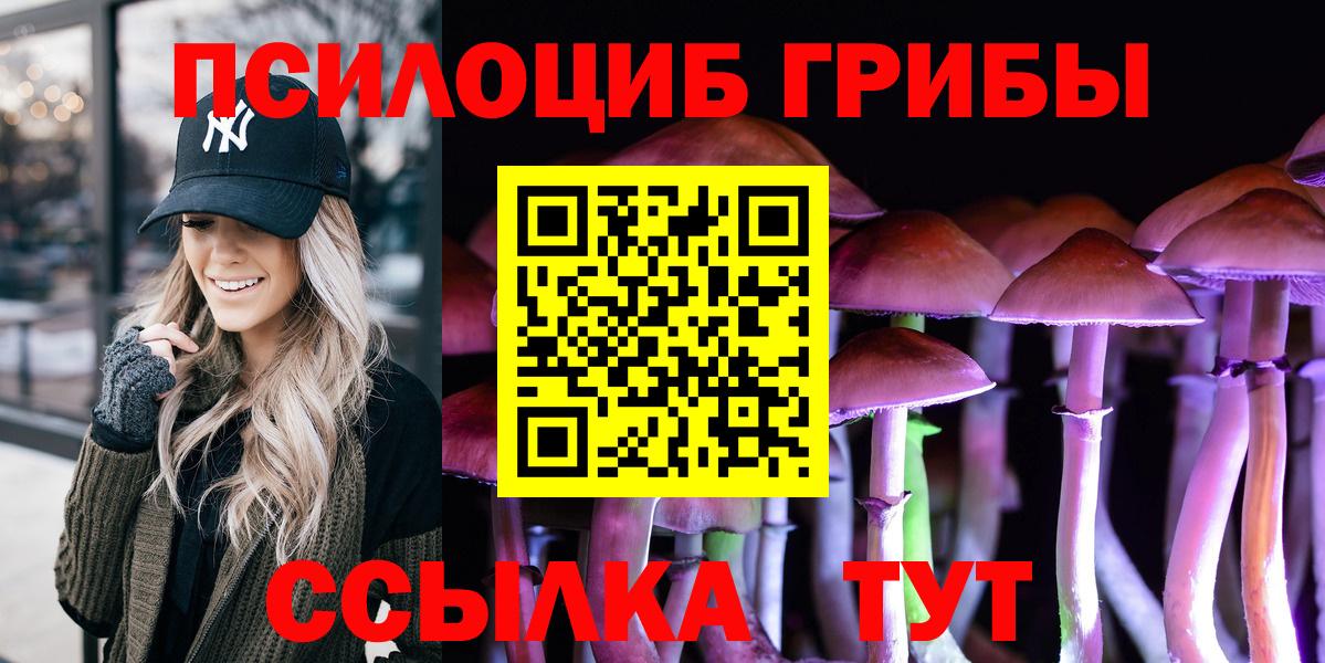 Псилоцибиновые грибы Cubensis  Галлюциногенные грибы Psilocybe  Гурьевск  Вход с VPN 