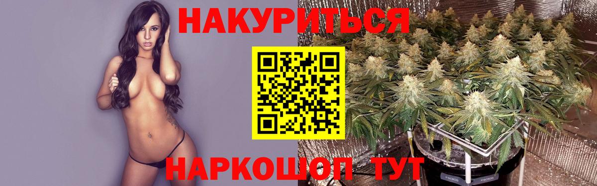 Бошки Шишки планчик Гурьевск